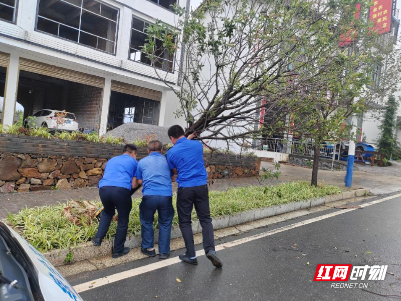 图片4.png 图片4.png