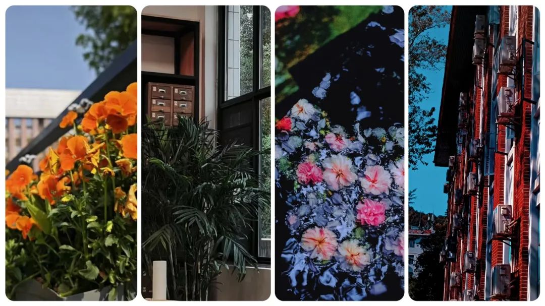 60139cdb389f642e9dbd7e1a6e69425.jpg 60139cdb389f642e9dbd7e1a6e69425.jpg